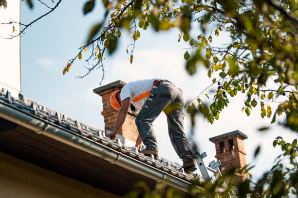 Best Residential Roofing Contractor  in New Port Richey East, FL