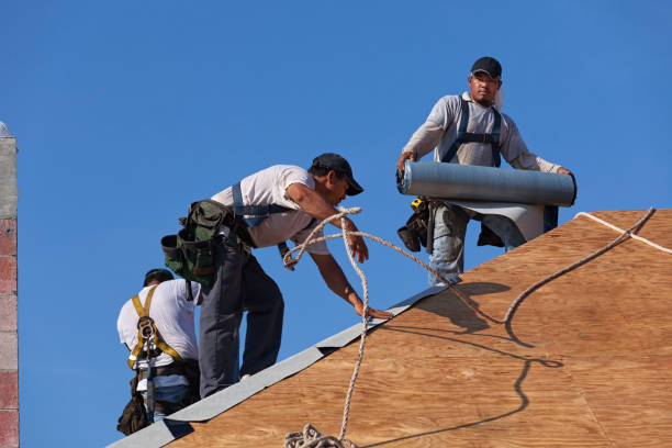 Best Shingle Roofing Installation  in New Port Richey East, FL