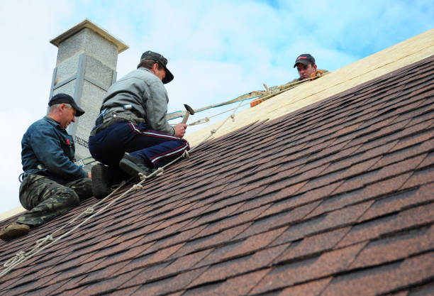 Best Local Roofing Companies  in New Port Richey East, FL